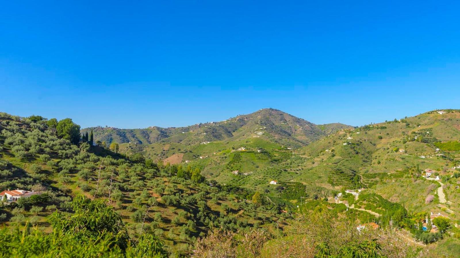 Villa Las Palmeras De Torrox By Ruralidays Esterno foto